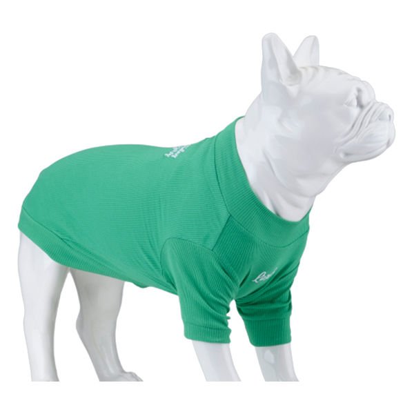 Lindo Dogs Make Today Amazing Köpek Kıyafeti Tshirt Yeşil Beden 5