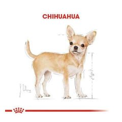 Royal Canin Chihuahua Adult Yetişkin Köpek Maması 1.5 Kg