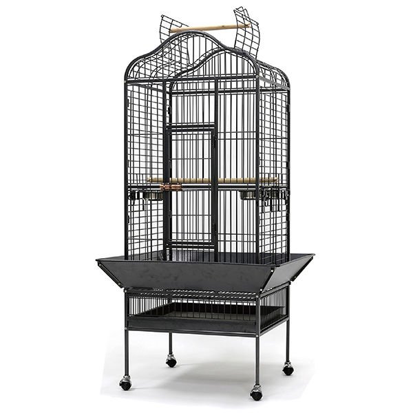Dayang Ayaklı Papağan Eğitim Kafesi Siyah 61x56x156 Cm