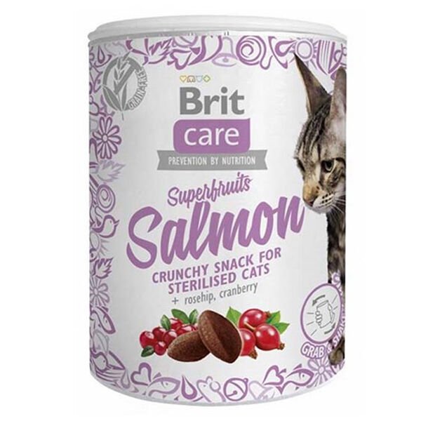 Brit Care Süper Fruits Somonlu Kedi Ödül Maması 100 Gr