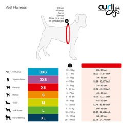 Curli Vest Air-Mesh Köpek Göğüs Tasması Siyah Xxsmall 30-35 Cm