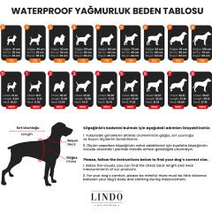 Lindo Dogs Aqua İçi Fileli Su Geçirmez Köpek Yağmurluğu Mavi Beden 8