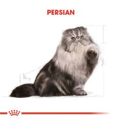 Royal Canin Persian Adult Yetişkin İran Kedisi Maması 10 Kg