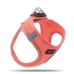 Tailpetz Air Mesh Harness Köpek Göğüs Tasması Xsmall Salmon 28-30x32-36 Cm