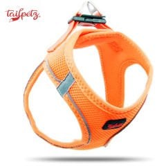 Tailpetz Air-Mesh Harness Köpek Göğüs Tasması Neo Turuncu XL