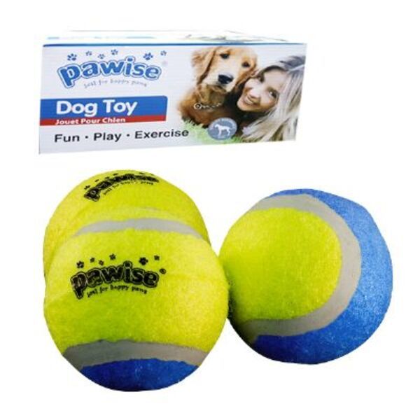 Pawise Karton Kutulu Tenis Topu Köpek Oyuncağı 24 Adet