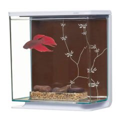 Marina Contemporary Betta Akvaryum Seti 3 Lt