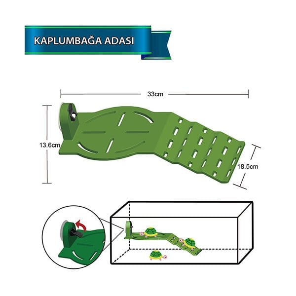 Dophin TL40 Kaplumbağa Adası 18.5x33x13.6 Cm