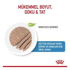 Royal Canin Starter Mousse Yavru Konserve Köpek Maması 195 Gr