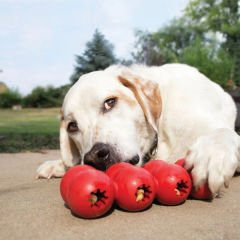 Kong Goodie Ribbon Çoklu Top Şeklinde Köpek Oyuncağı Small Kırmızı