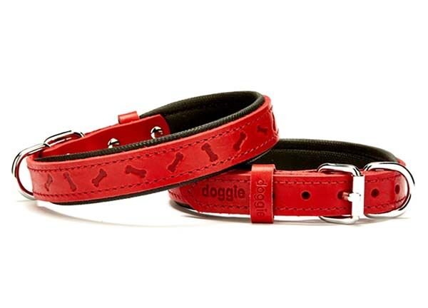 Doggie Comfort Deri Kemik Desenli Köpek Boyun Tasması Medium Kırmızı 2x35-40 Cm