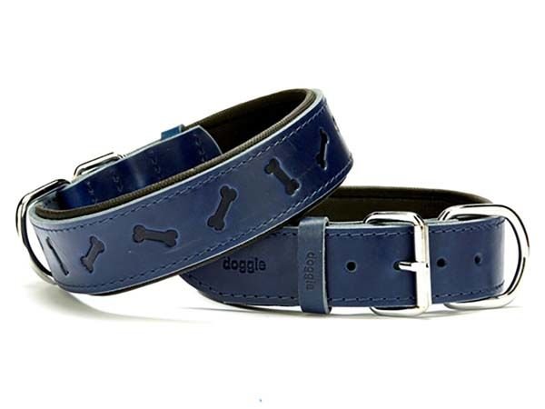 Doggie Comfort Deri Kemik Desenli Köpek Boyun Tasması Medium Mavi 4x52-60 Cm