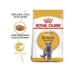 Royal Canin British Shorthair Adult Yetişkin Kedi Maması 400 Gr