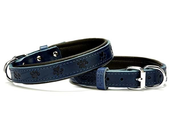 Doggie Comfort Deri Pati Desenli Köpek Boyun Tasması Medium Mavi 2x35-40 Cm