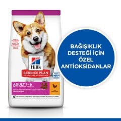 Hills Adult Small Mini Tavuklu Küçük Irk Köpek Maması 3 Kg