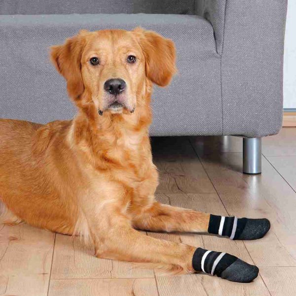 Trixie Çizgili Köpek Çorabı Kaymaz 2 Adet Large/Xlarge Siyah