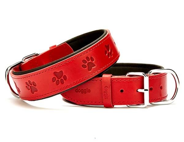 Doggie Comfort Deri Pati Desenli Köpek Boyun Tasması Medium Kırmızı 4x52-60 Cm