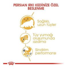 Royal Canin Persian Adult Yetişkin İran Kedisi Maması 400 Gr