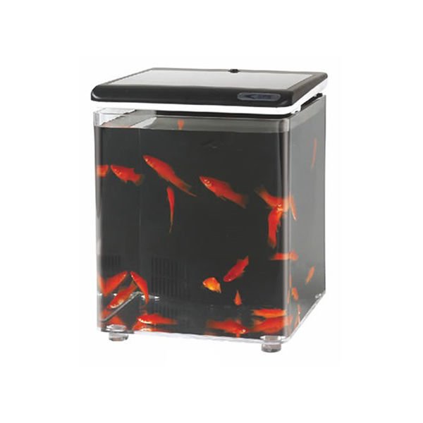 Aquasyncro Fish Home Filtreli ve Işıklı Nano Akvaryum Siyah 20x20x26 Cm