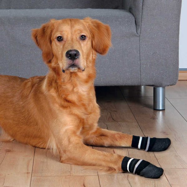 Trixie Çizgili Köpek Çorabı Kaymaz 2 Adet Xlarge Siyah
