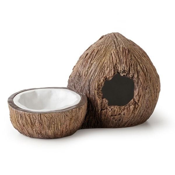 Exo Terra Sürüngen Ex Coconut Saklanma Alanı Su Kabı Kahverengi