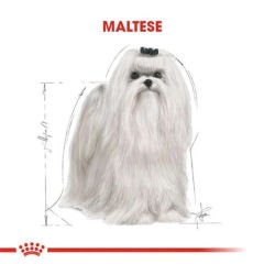 Royal Canin Maltese Terrier Adult Yetişkin Köpek Maması 1.5 Kg