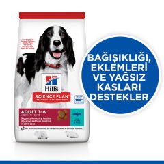 Hills Ton Balıklı Yetişkin Köpek Maması 2.5 Kg