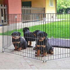 Ferplast Metal Köpek Eğitim Kafesi Siyah 80x80x62 Cm