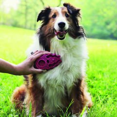 Kong Köpek Oyuncak, ZoomGroom Tarak Mavi 11 Cm