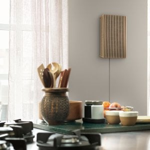 Bang & Olufsen Beosound Level Taşınabilir Multiroom Kablosuz Hoparlör