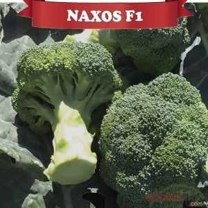 Naxos  F1 Brokoli Fidesi