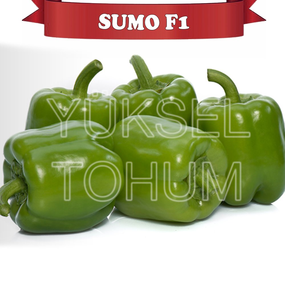 Sumo F1 Dolma Biber Fidesi