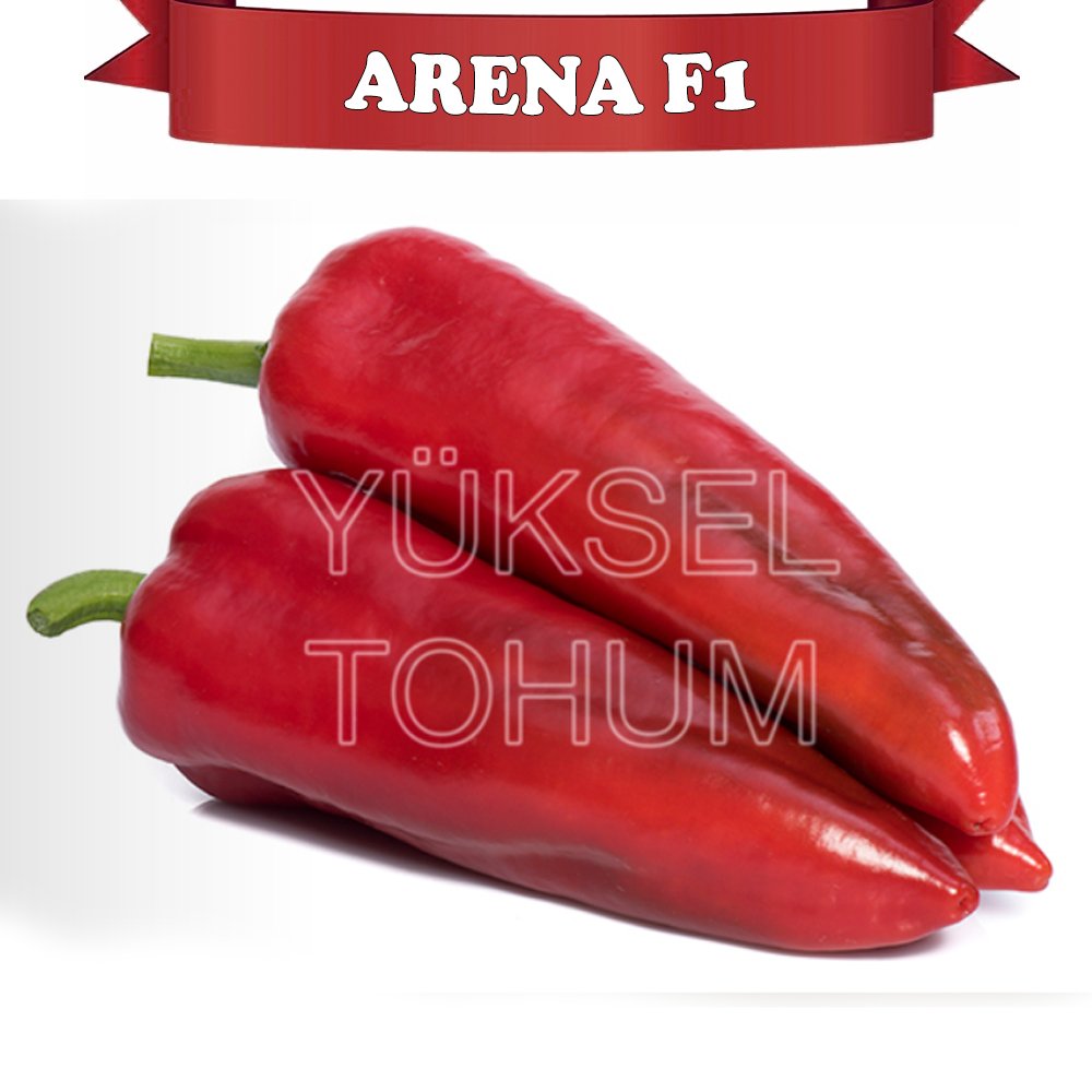 Arena F1 Kapya Biber Fidesi