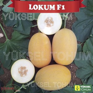 Lokum F1 Ananas Tipi Kavun Fidesi