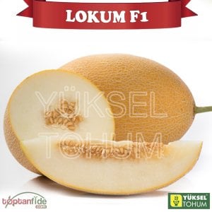 Lokum F1 Ananas Tipi Kavun Fidesi