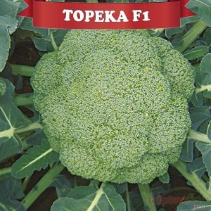 Topeka F1 Brokoli Fidesi