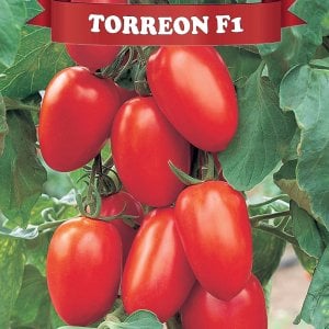 Torreon F1 Oturak Domates Fidesi