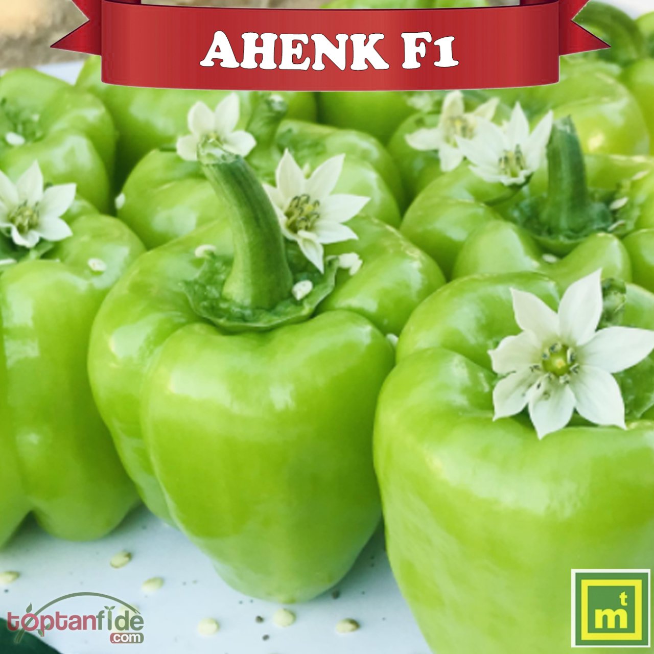 Ahenk F1 Dolma Biber Fidesi