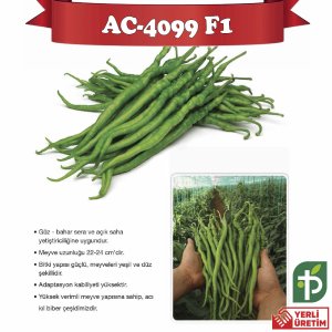 AC-4099 F1 - Acı Kıl Biber Tohumu 1000 Adet