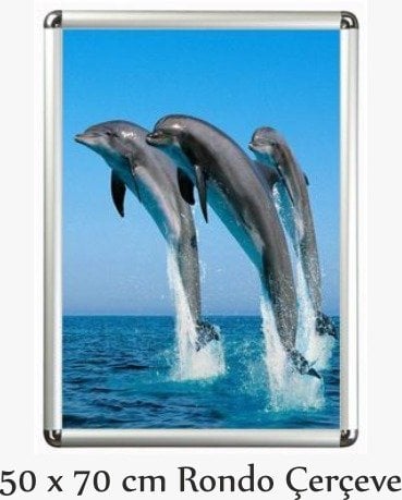 50 x 70 RONDO ÇERÇEVE