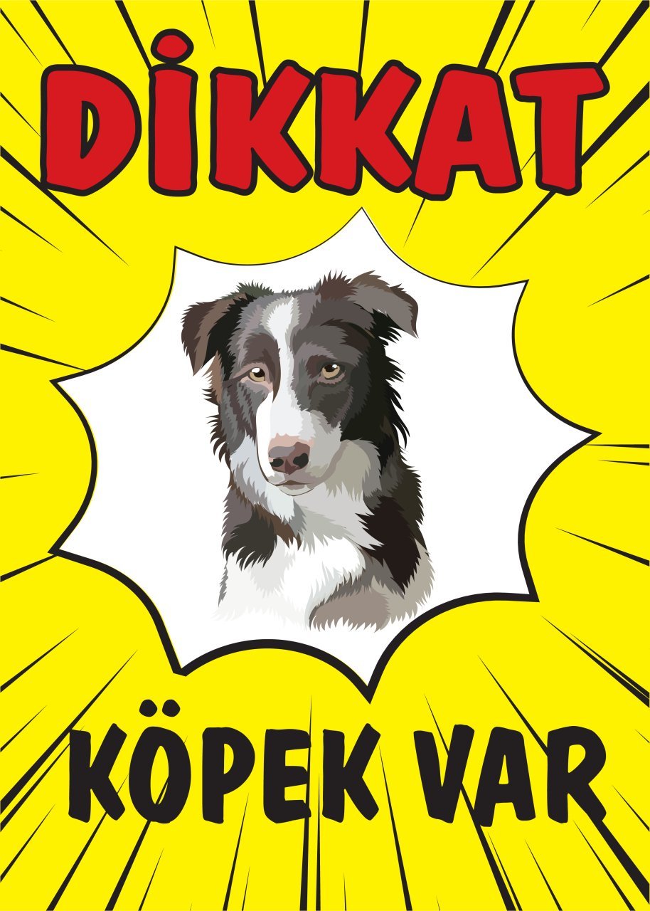 DİKKAT KÖPEK VAR