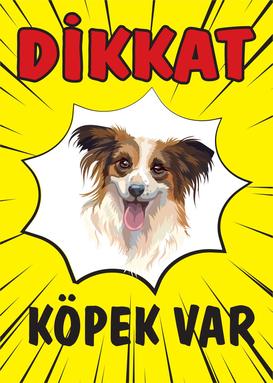 DİKKAT KÖPEK VAR