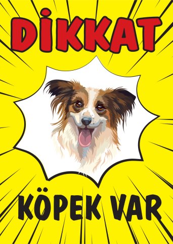 DİKKAT KÖPEK VAR
