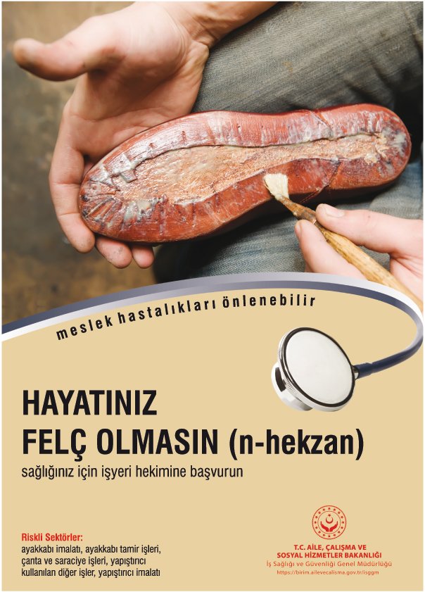 HAYATINIZ FELÇ OLMASIN