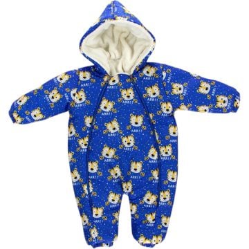 KAPLAN BASKILI KOZMOMONT