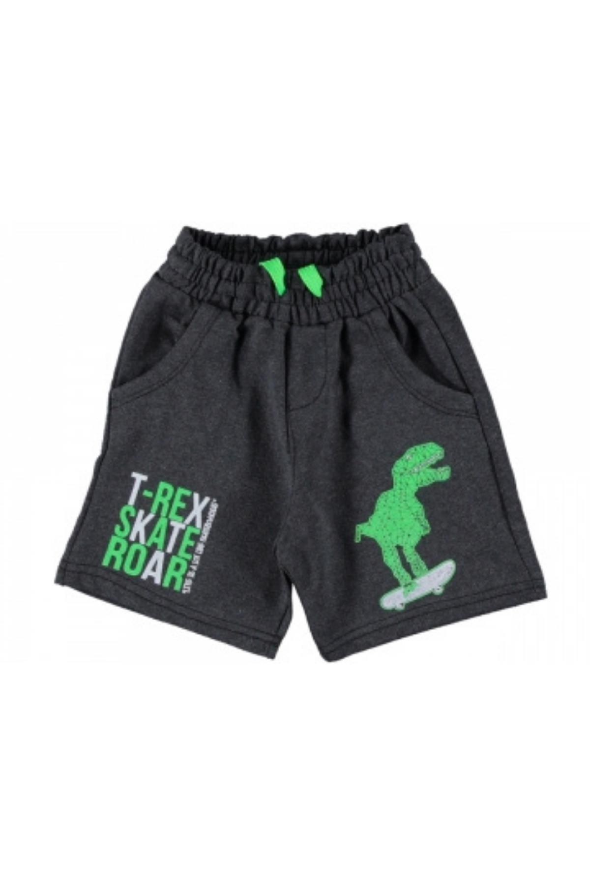 Erkek Çocuk Dinazor Baskılı Şort