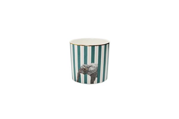 Porland Wild Life 4 Parça Bardak Takımı 230cc