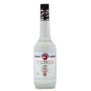 FO KOKTEYL ŞURUP AGAVE ( TEKİLA ) 700 ML 78101