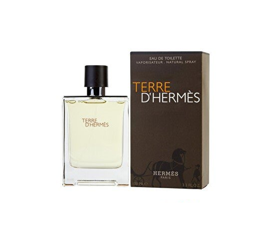 Hermes Terre D' Edt 100 ml 3346131400003 Orjinal Erkek Parfümü