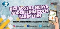 10 adet Çıtır Taflan Fidanı, Tüplü/Saksılı